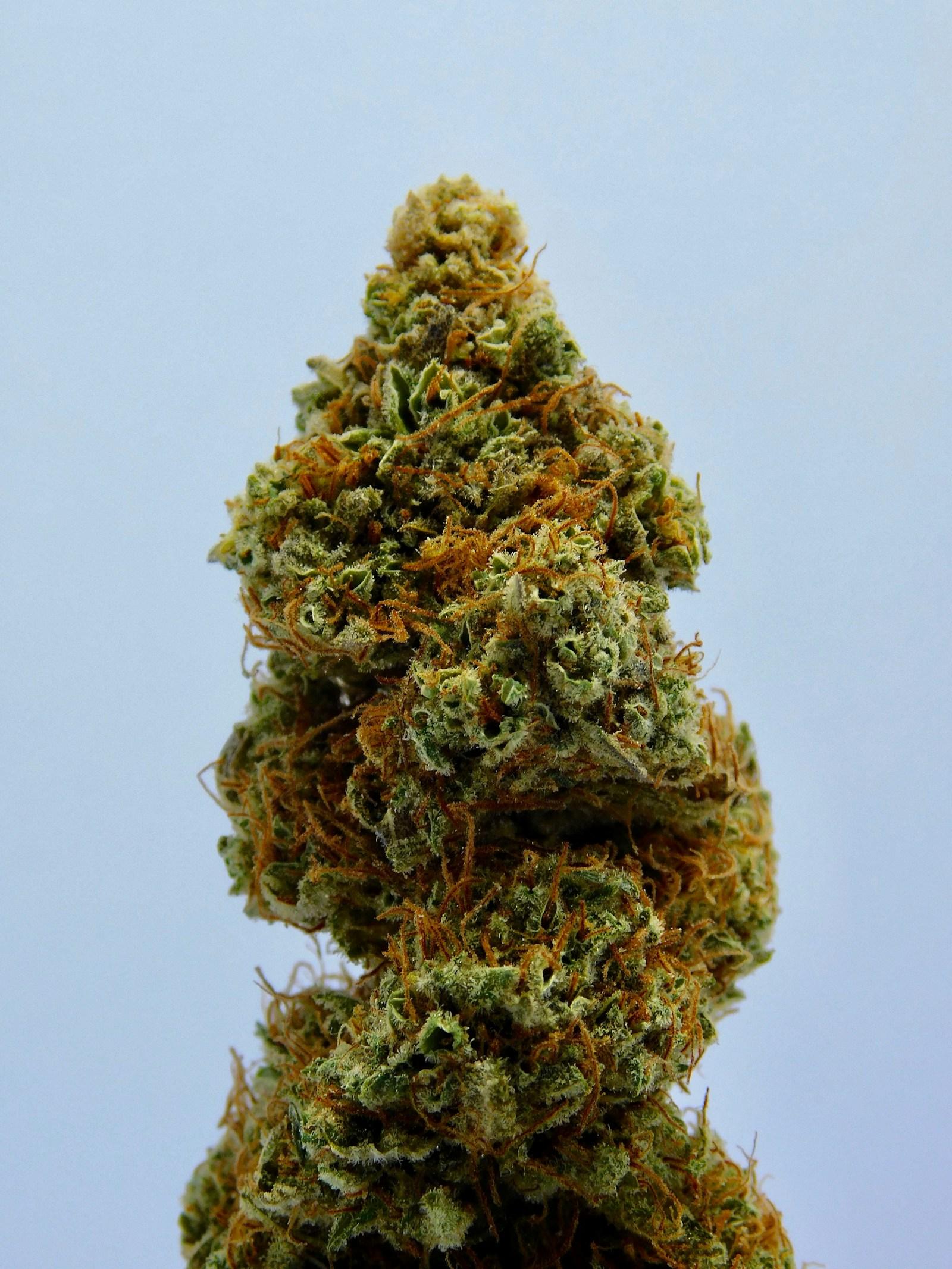AK47