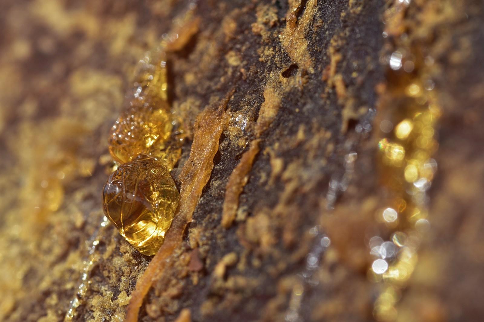 Pollen 22%